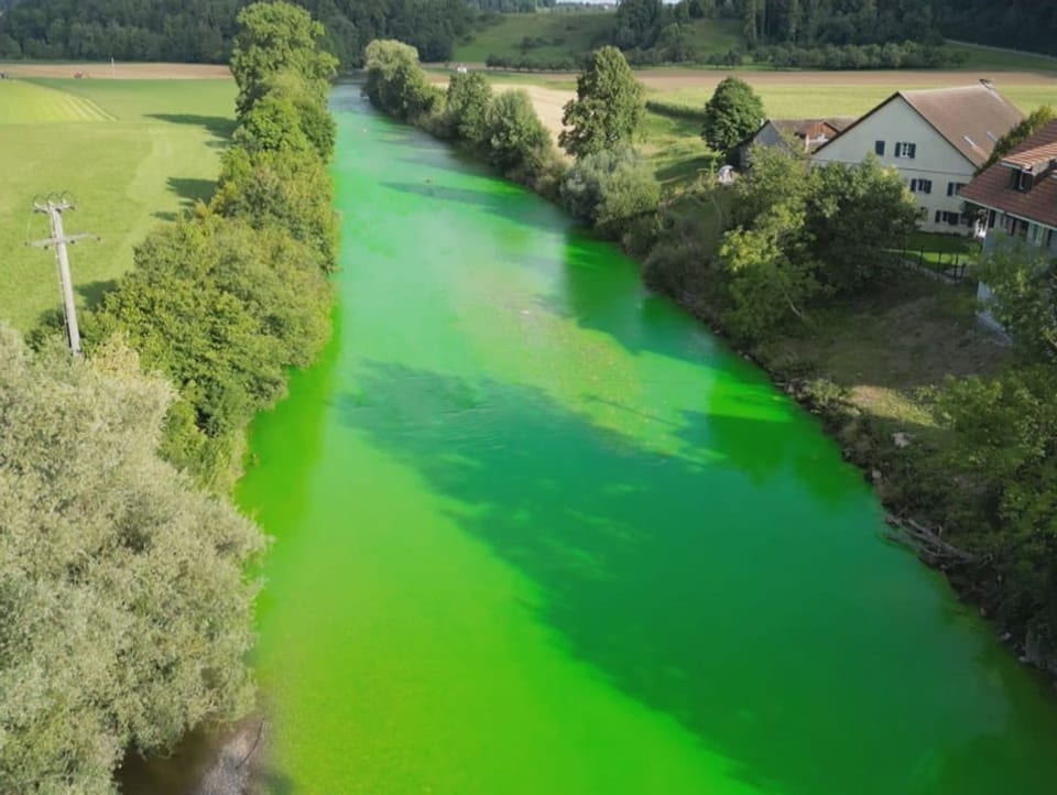 grüner Fluss Luftansicht