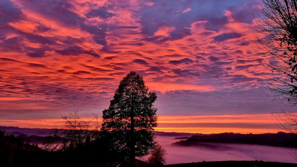 Unten grau und oben rosa-rot Abendstimmung über Trachselwald.