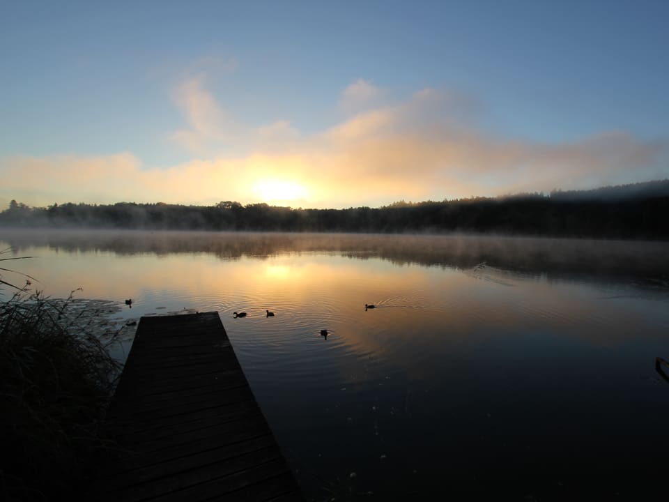 Die aufgehende Sonne schimmert durch einen Nebelrest auf einem See. Enten schwimmen darin, der nur gering bewölkte Himmel schimmert hellgelb und orange.