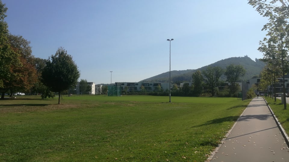 Sportplatz und Wiese