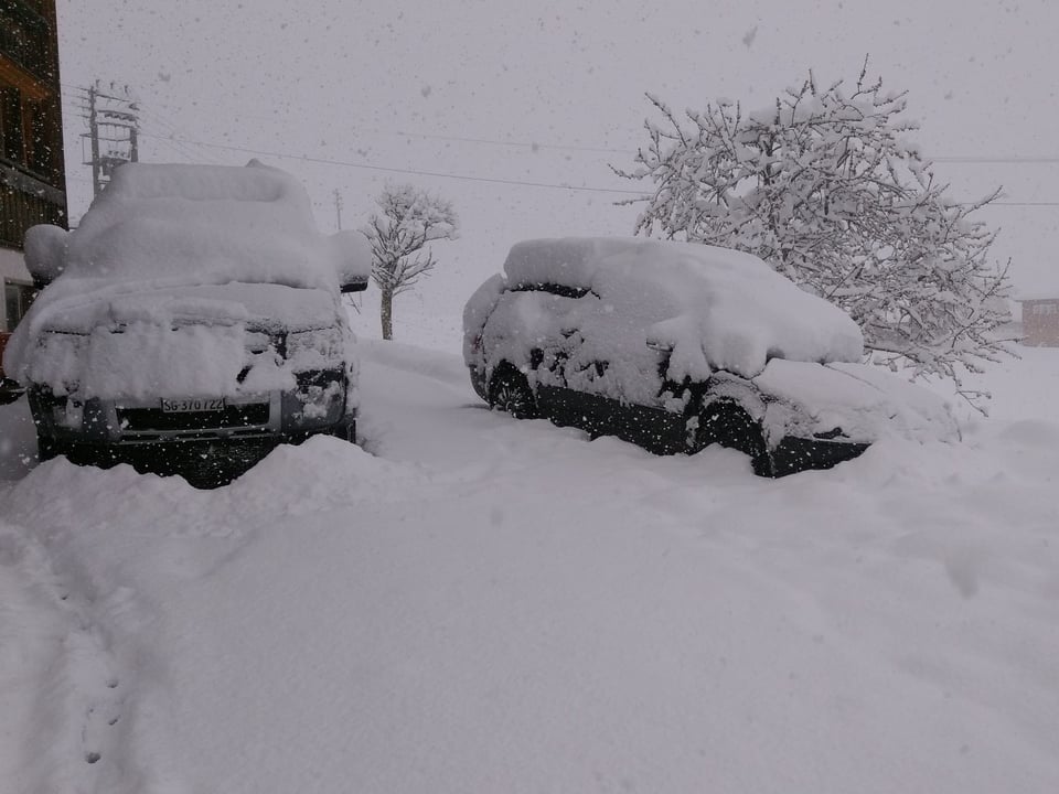 Parkierte Autos im Schnee.