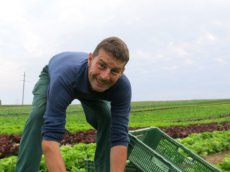 Ein Mann steht gebückt in einem Salatfeld und lacht.