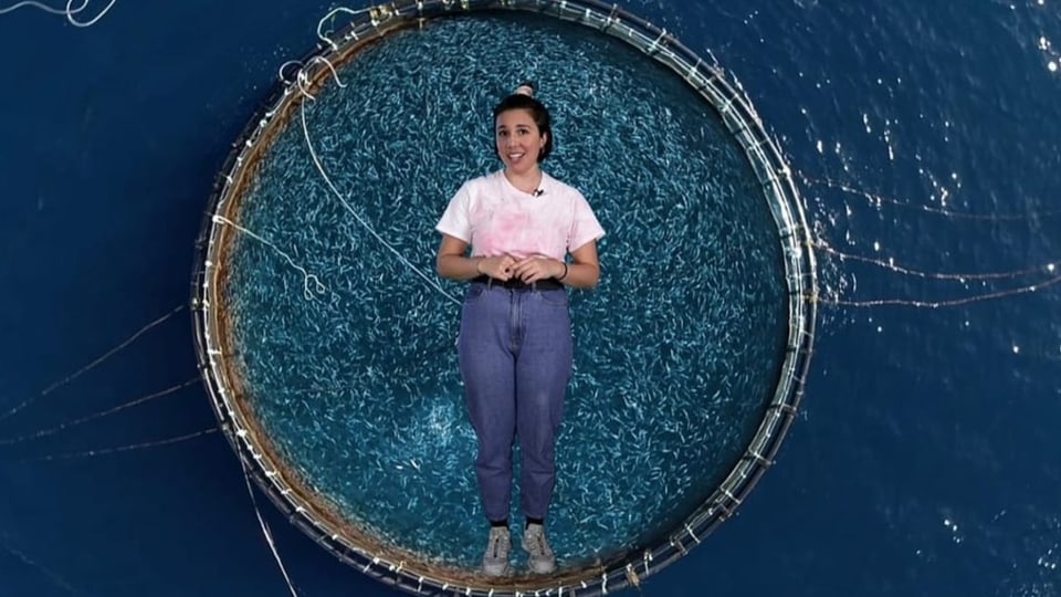 Jara Helmi, Moderatorin von «Co2ntrol», steht vor einem Fischzucht-Netz