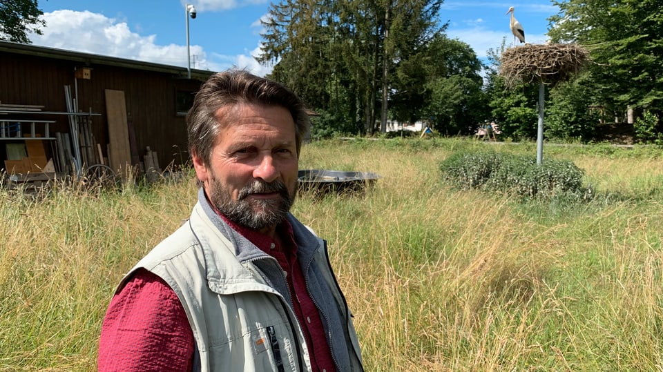 Leiter der Storchenstation Möhlin vor einem Storchennest