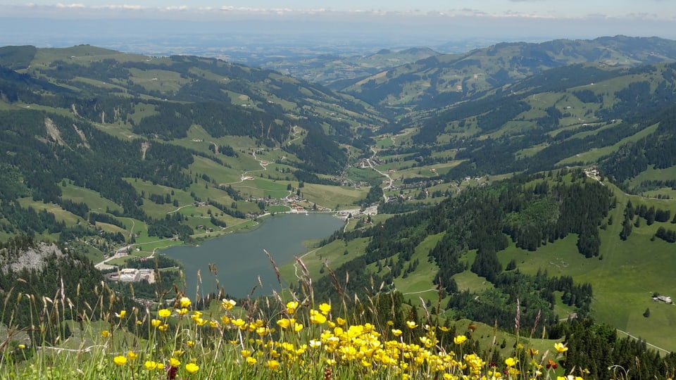 Viel Sonnenschein gab es am Johannistag auf der Spitzflue oberhalb des Schwarzsees.