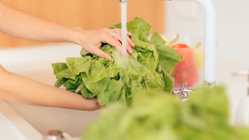 Ein Kopfsalat wird unter dem Wasserhahn gewaschen.