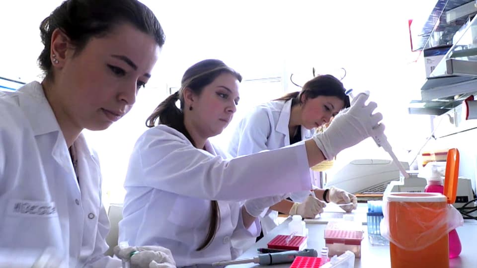 Türkei: Frauen in Männerdomänen der Wissenschaft