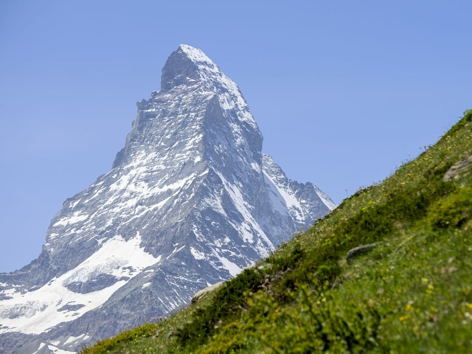 Eine Bergwiese. Dahinter der Gipfel des Matterhorns.