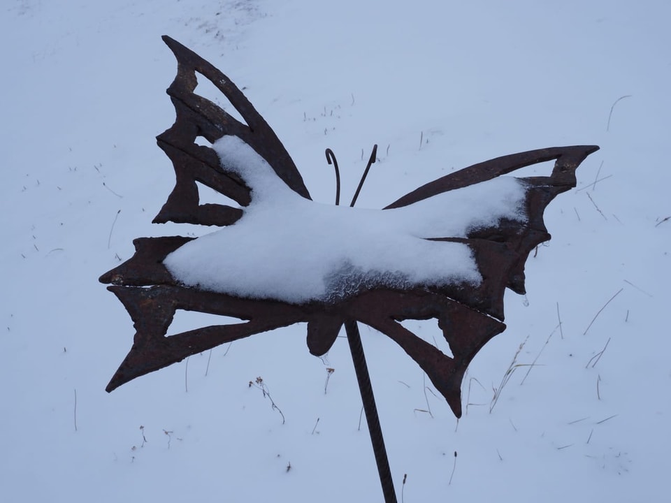Spundätscha GR Ein Schmetterling aus Eisen mit Schnee drauf.