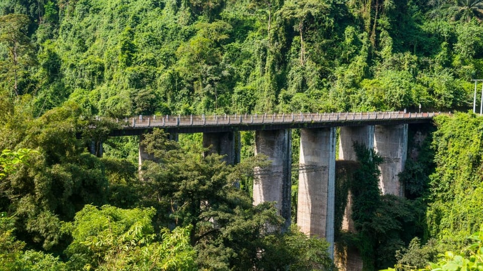 Strassenbrücke im tropischen Dschungel in Äquatorialguinea