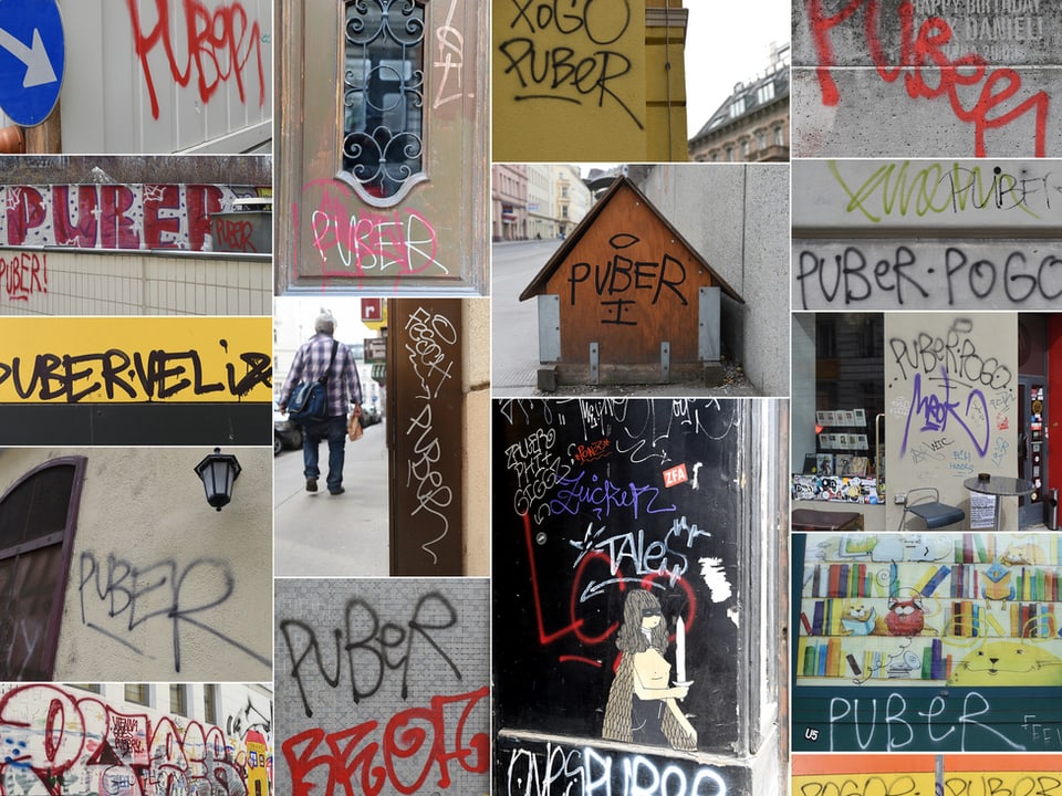 Werke des Graffiti-Sprayers «Puber» aufgenommen am Freitag, 7. März 2014, in Wien