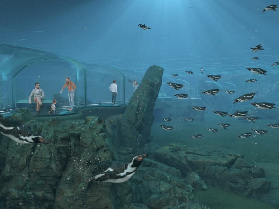 Unterwasseraquarium mit Pinguinen