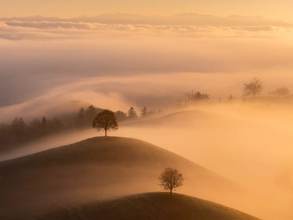 Hügellandschaft mit Bäumen mit Nebelschwaden im gelben Morgenlicht. Darüber hellblauer Himmel. 