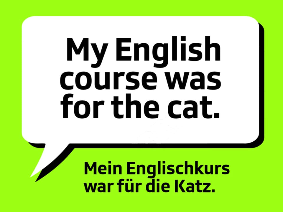 Text: My english course was for the cat.  Mein Englischkurs war für die Katz.