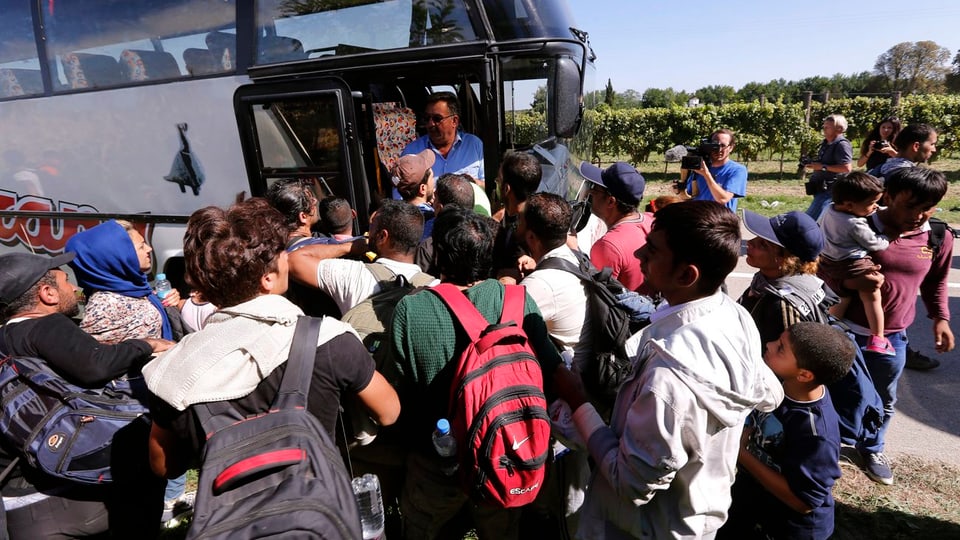 Flüchtlinge besteigen bei Ilok einen Bus Richtung Ungarn (24.9.2015). 