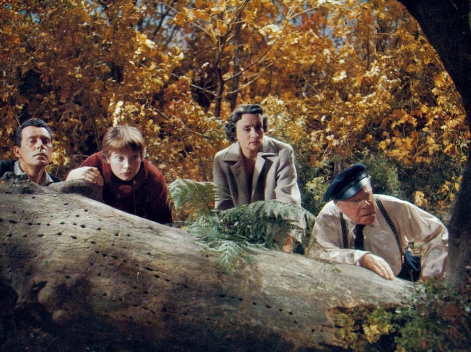 Vier Personen beobachten versteckt hinter einem Baumstamm in einem herbstlichen Wald.