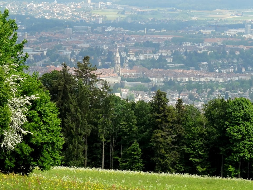 Im Vordergrund eine grüne Wiese und Bäume im Sonnenlicht. Im Tal das Berner Münster und die Altstadt von Bern.