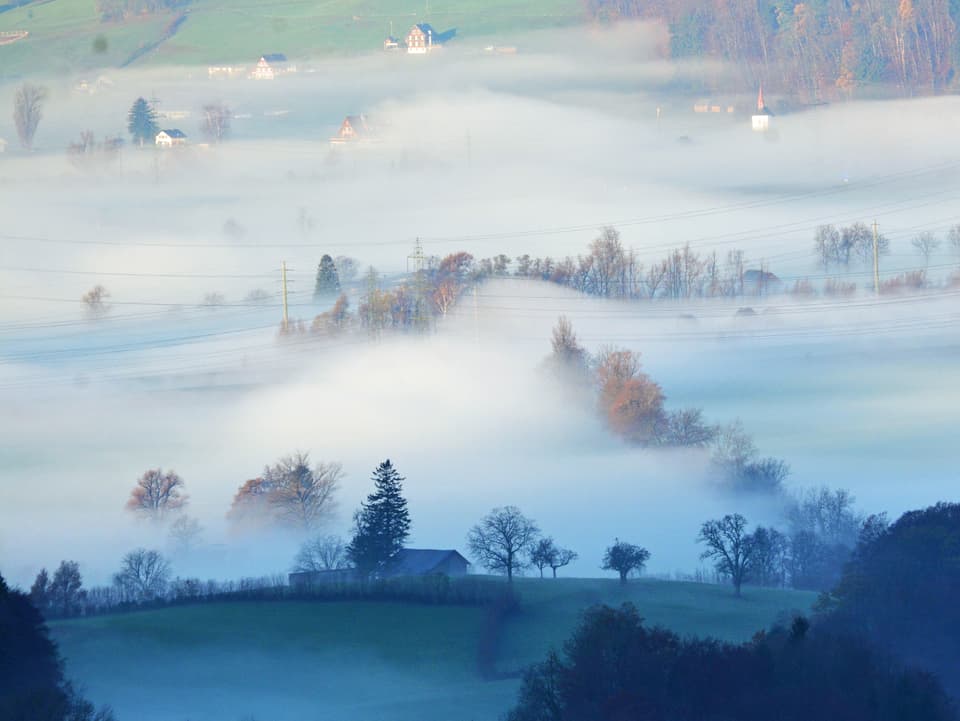 Nebelschwaden auf Hügeln