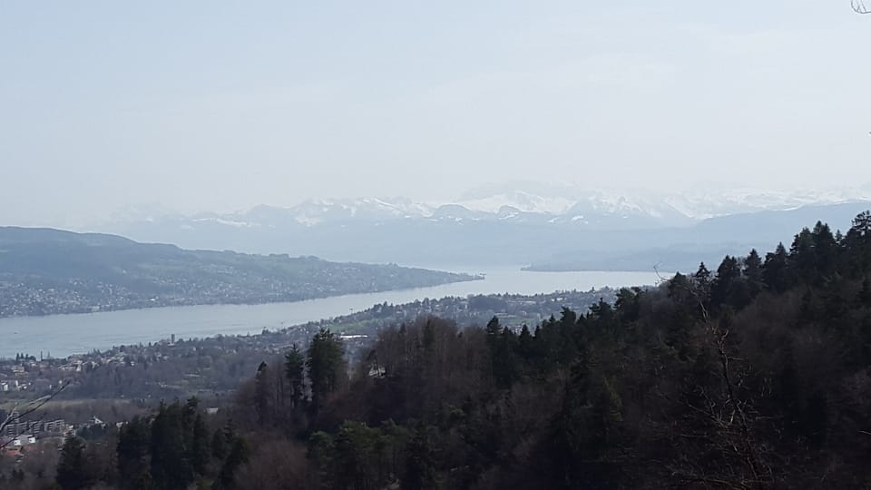 Blick von Üetliberg Richtung Glarner Alpen.