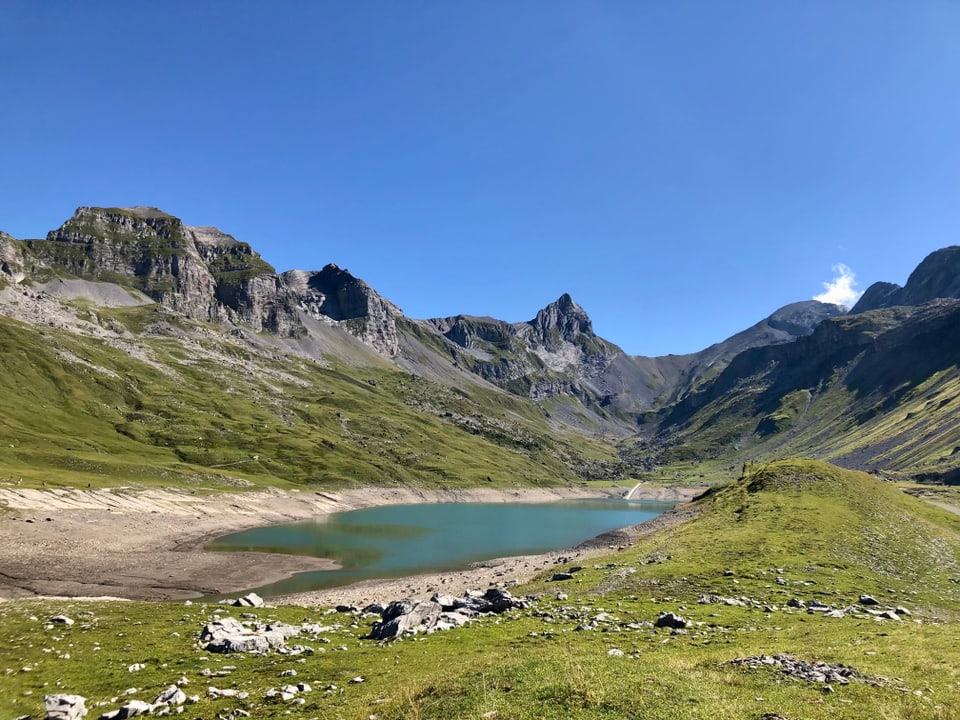 Glattalpsee/SZ Im Muotathal, Glattalpsee tiefer Wasserstand, aber genug für Vieh und Pferde