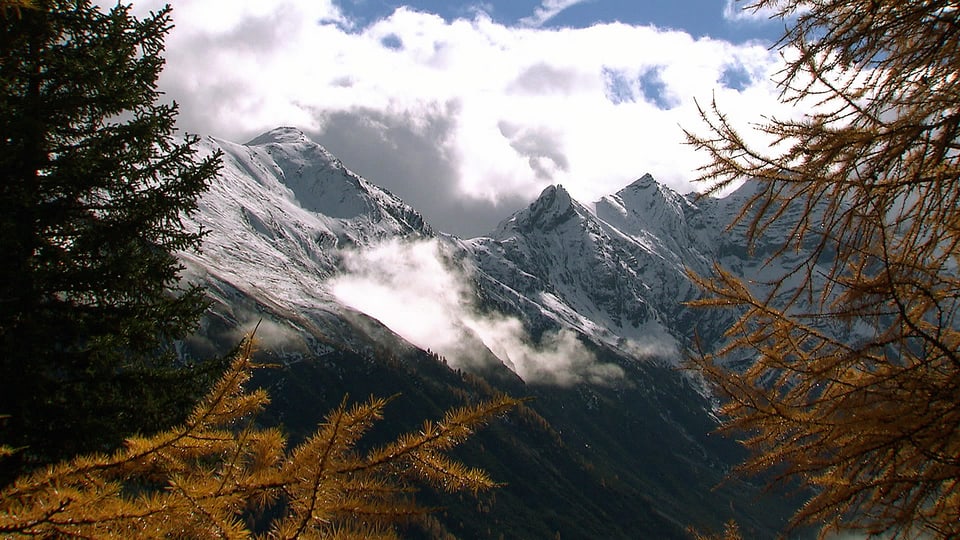 Schneebedeckte Berge und gelbe Bäume im Schweizerischen Nationalpark.