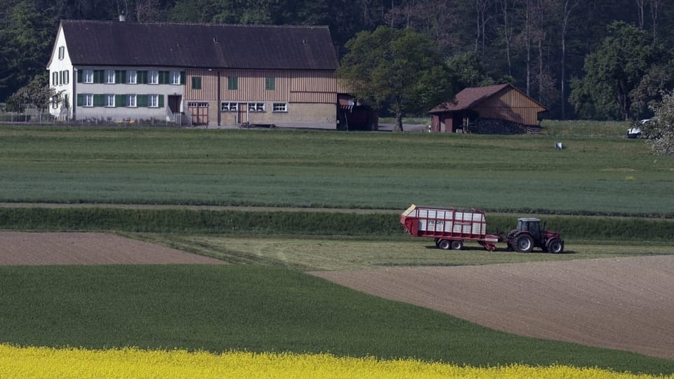 Ein Traktor auf einem Feld vor einem Thurgauer Bauernhof.