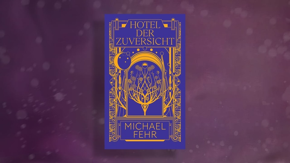 Michael Fehr. Hotel der Zuversicht Buchcover