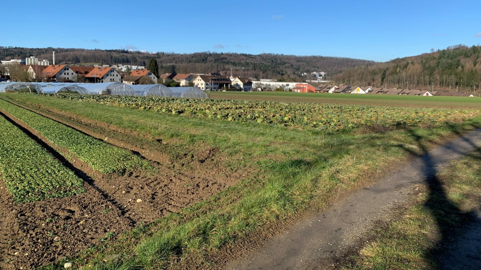Blüht Baden mit dem neuen Stadtteil Galgenbuck auf? Die Bevölkerung kann nun mitwirken.