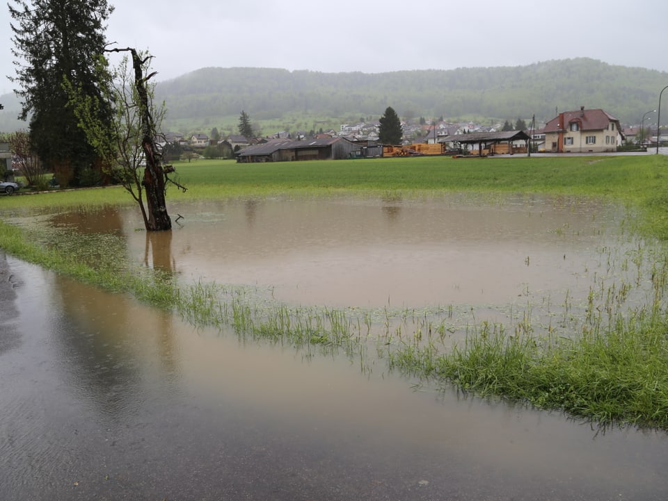Überschwemmtes Feld