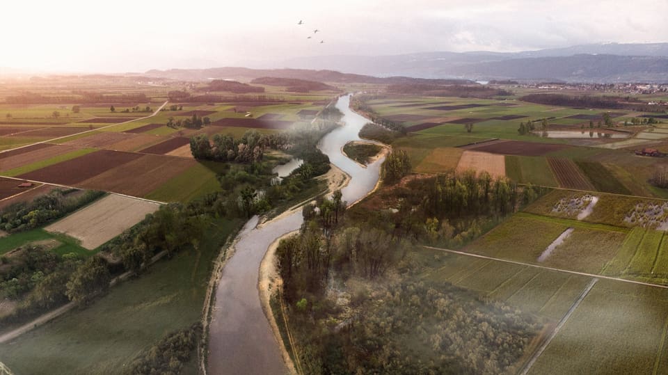 Visualization of a river with floodplains flowing through fields of different colors