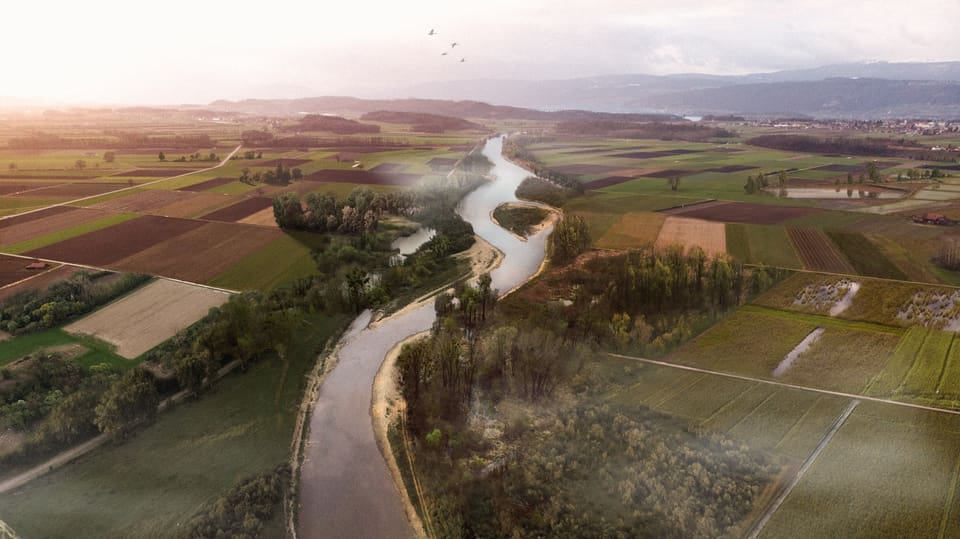 Visualisierung eines Flusses mit Auen, der durch verschiedenfarbige Felder fliesst