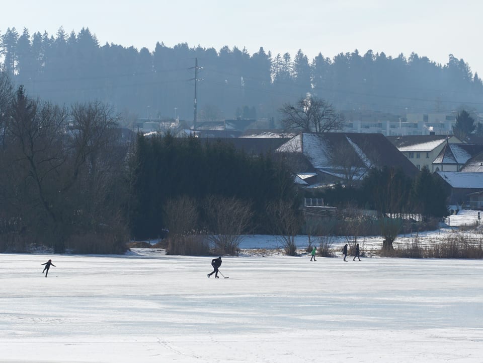 Schlittschuhläufer auf dem See.