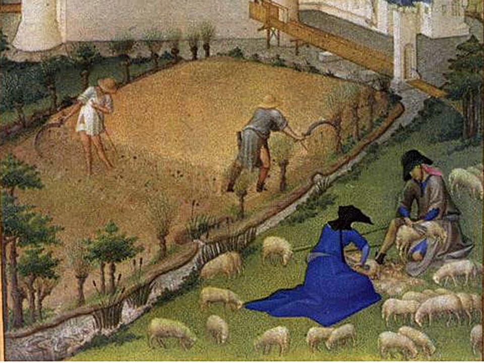 Schafscherer in einer mittelalterlichen Darstellung.