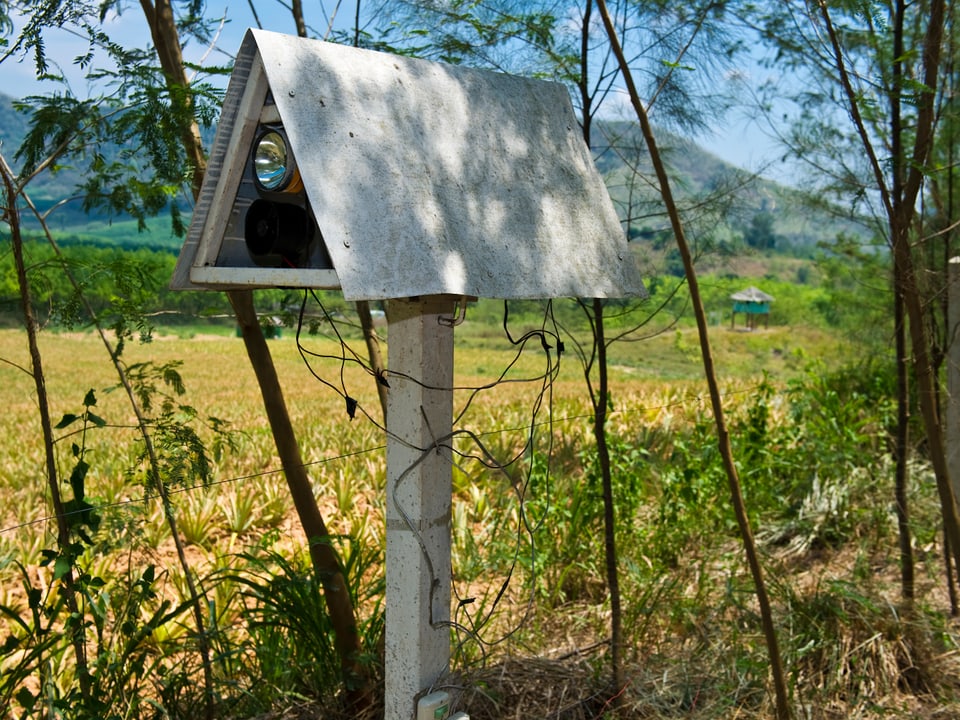 Überwachungsgeräte in einer vogelhausartigen Vorrichtung getarnt.