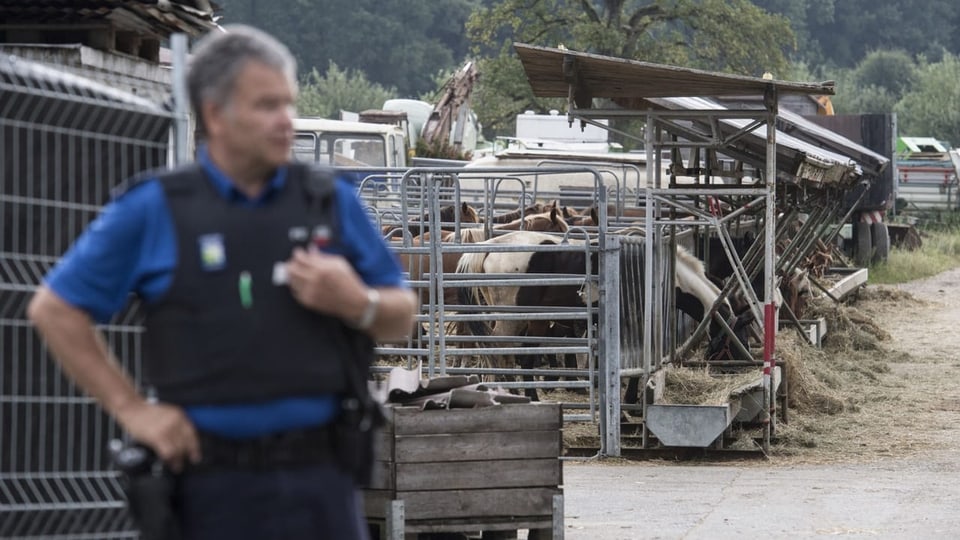 Ein Polizist auf dem Hof in Hefenhofen (TG), im Hintergrund sind Pferde zu sehen.