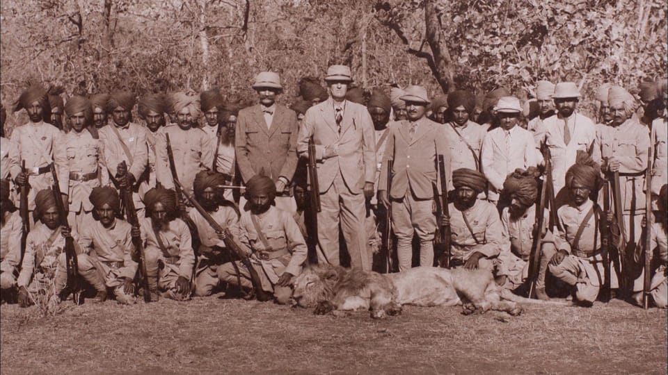 Machtdemonstration: Die versnobten englischen Kolonialherren übten in Indien Grosswild-Jagden als Machtdemonstration gegenüber der Bevölkerung aus. Den Asiatischen Löwen rotteten sie so beinahe aus.