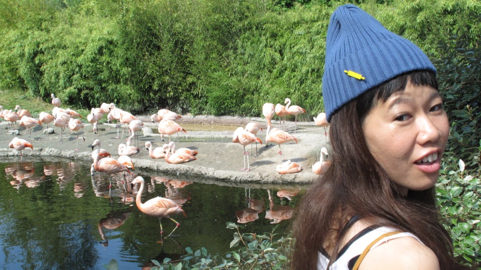 Japanische Künstlerin mit Flamingos im Zoo