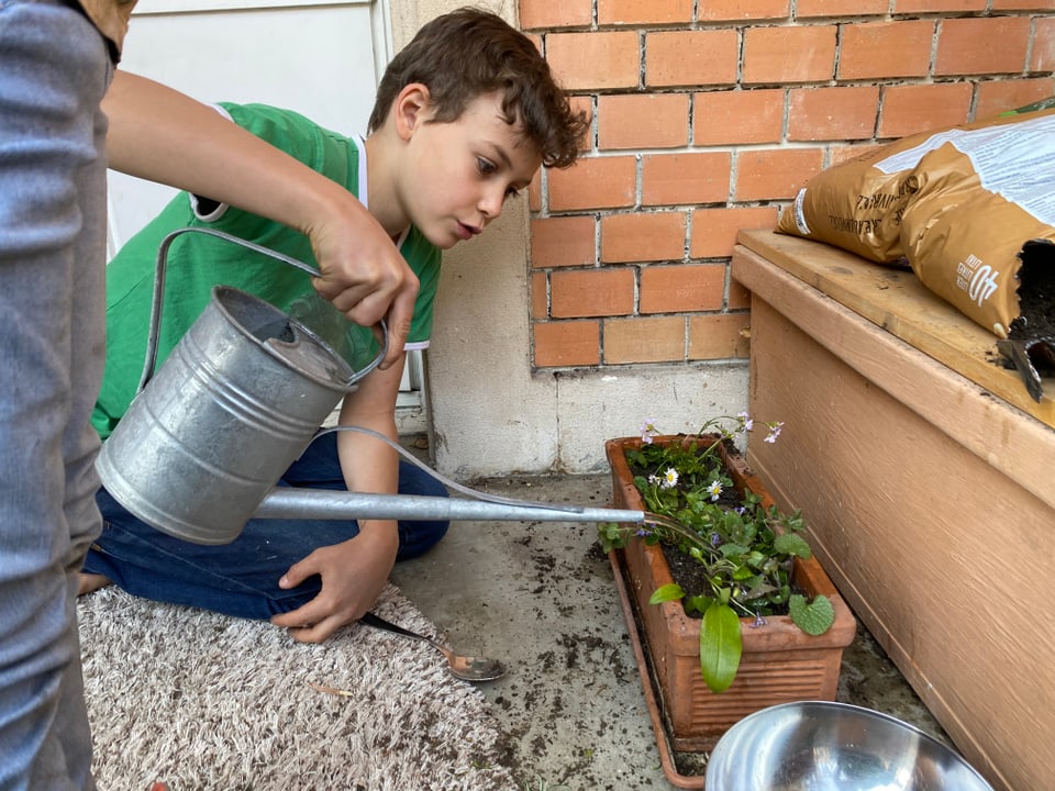 Junge gibt den Pflanzen Wasser