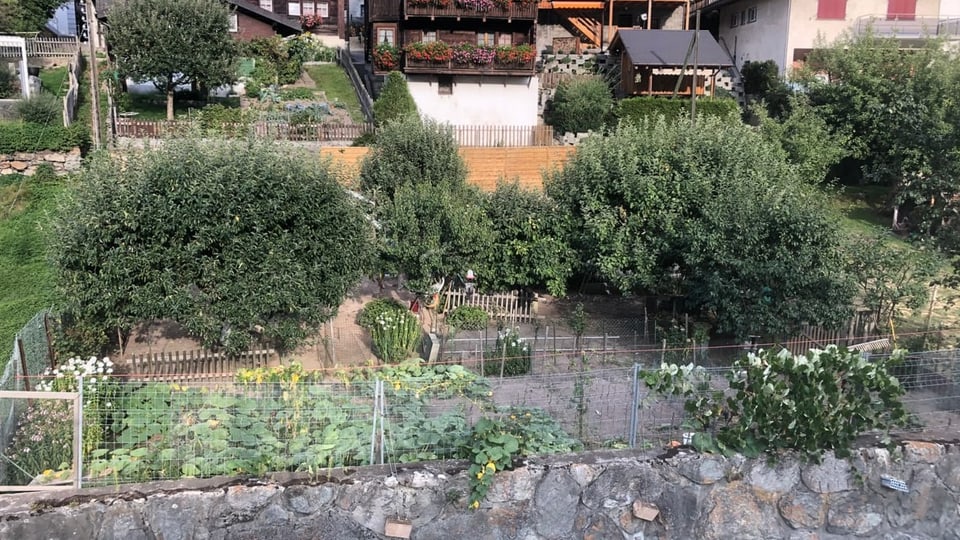 Das Paradies am Bach Garten