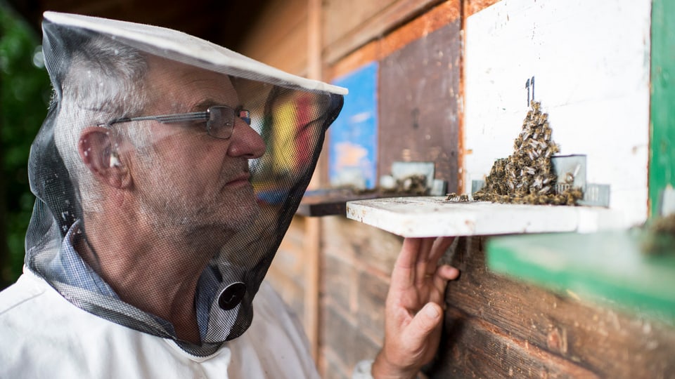 Ein Imker mit Schutzkleidung vor seinem Bienenhäuschen.