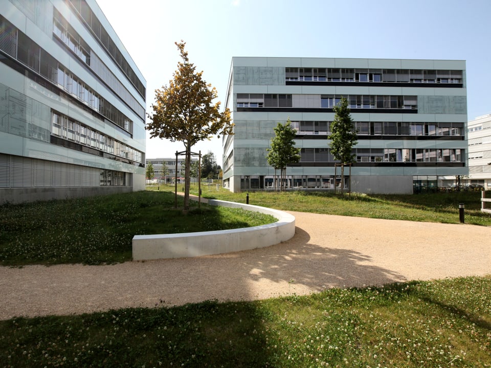 Ein Bürogebäude auf dem Canpus der ETH Lausanne. Vorne Park.