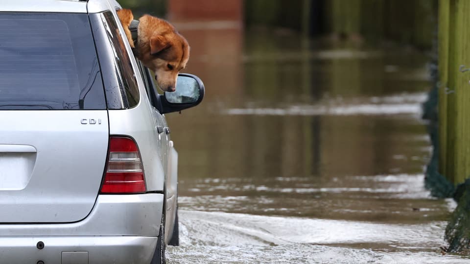 Nach einem Sturm in England schaut ein Hund aus einem Fahrzeug, das auf einer überfluteten Strasse fährt.