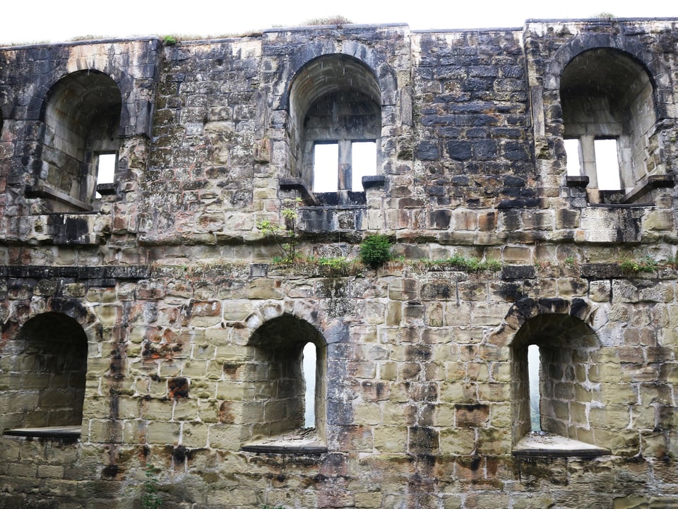 Sechs Fenster in der Steinmauer einer Burgruine.