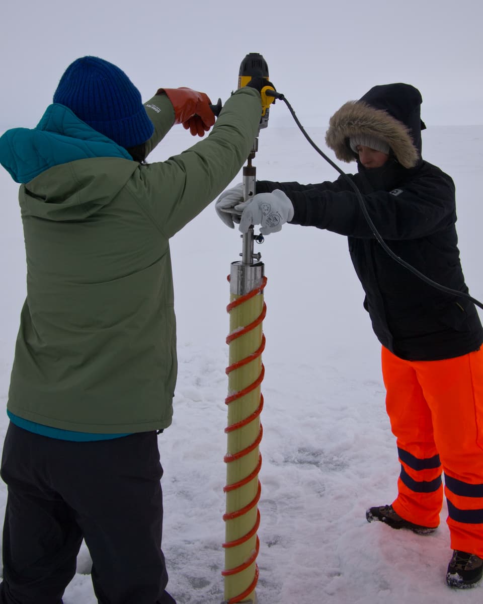 Zwei Forscherinnen bohren ein Loch ins Eis, um später Messinstrumente und Fangnetze durchs etwa 1.5 Meter dicke Meereis ins Wasser absenken zu können.
