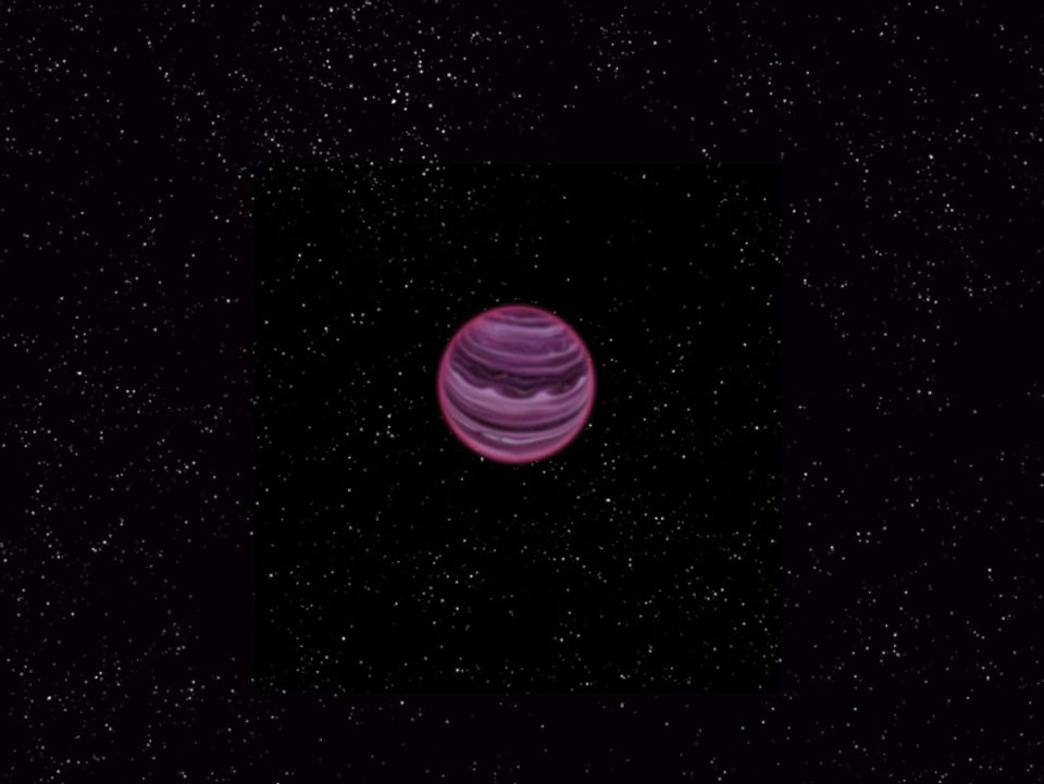 Eine Visualisierung des neuen Planeten: eine kleine violette Kugel im Weltall
