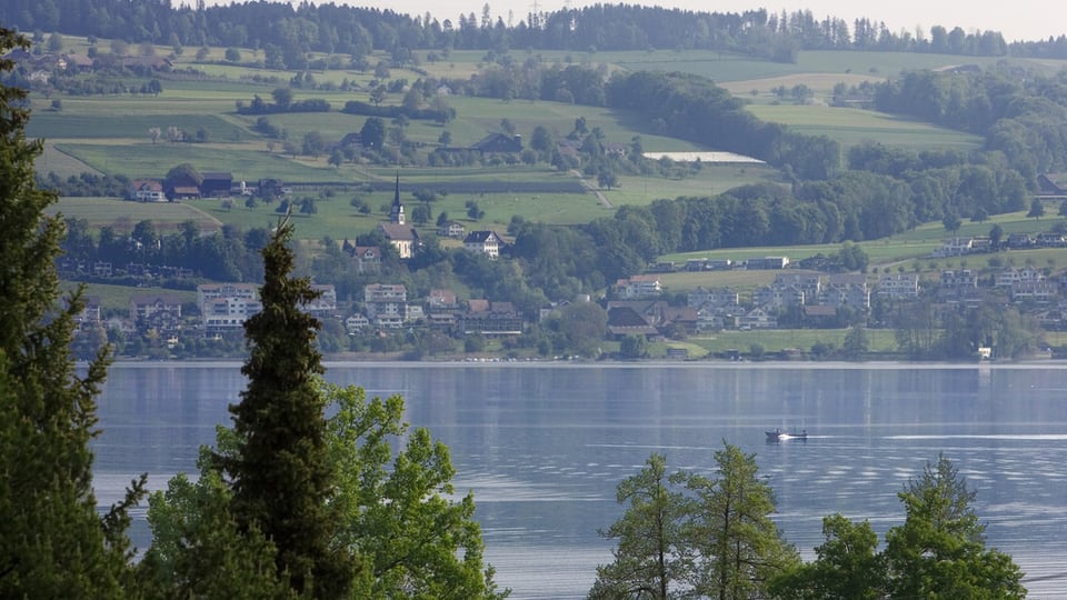 Der Sempachersee, im Hintergrund grüne Hügel.