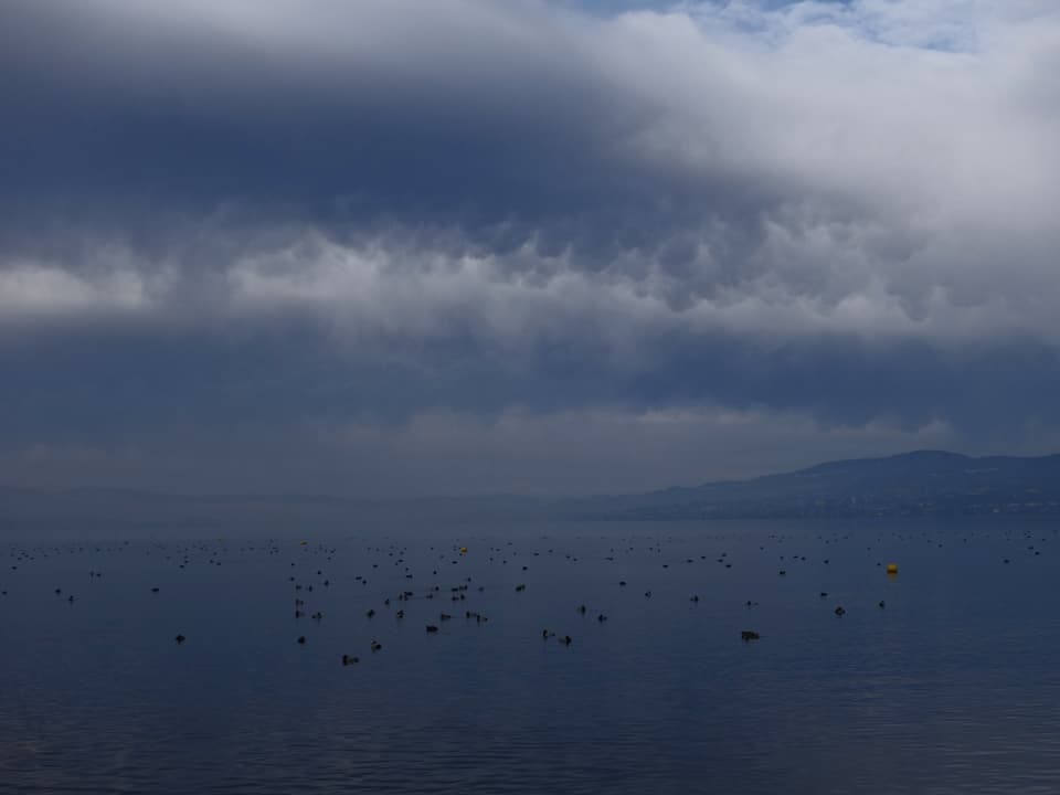 Dicke Wolken über dem Zürichsee