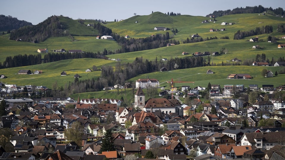 Blick auf Appenzell Dorf