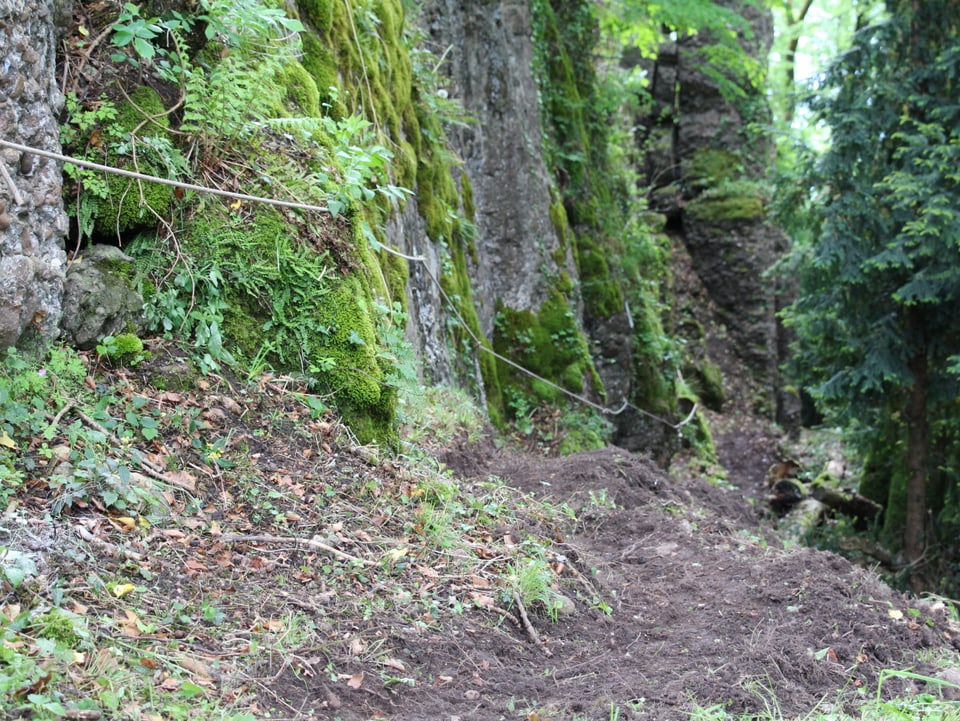 Ein schmaler Waldweg entlang einer Felswand.