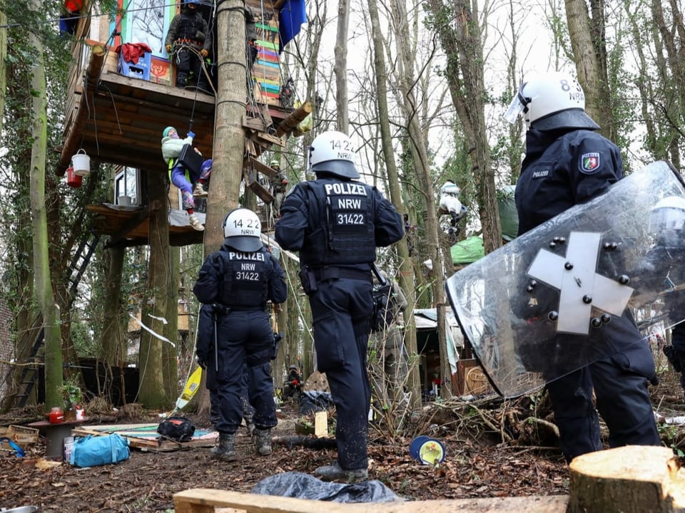 Polizisten in Schutzkleidung gehen auf ein Baumhaus zu, wo sich Aktivisten verschanzt haben.